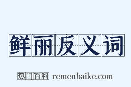 鲜丽反义词是什么意思的图片